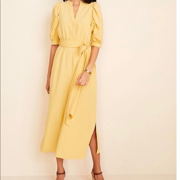Ann Taylor Dresses & Skirts - NWT belted   Midi shirtdress